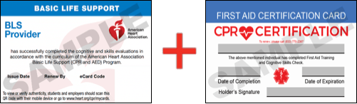 Sample American Heart Association AHA BLS CPR Card Certification and First Aid Certification Card from CPR Certification Glendale