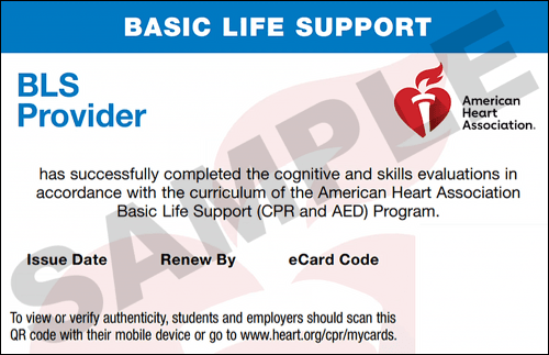 Sample American Heart Association AHA BLS CPR Card Certification from CPR Certification Glendale